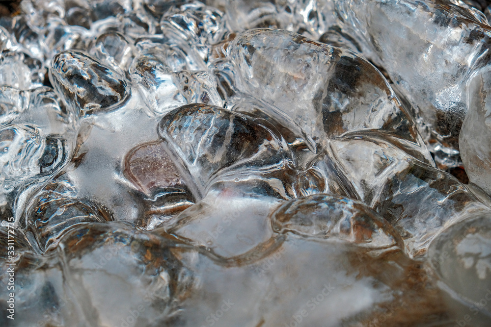 the frozen leaves and tree branches sparkling ice the frozen leaves and tree branches sparkling ice