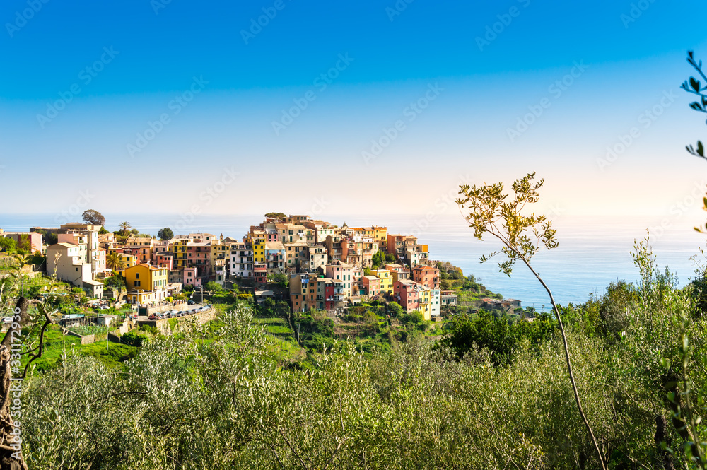 Obraz premium Corniglia, Cinque Terre - beautiful small village with colorful buildings on the cliff overlooking sea. Cinque Terre National Park with rugged coastline is famous tourist destination in Liguria, Italy
