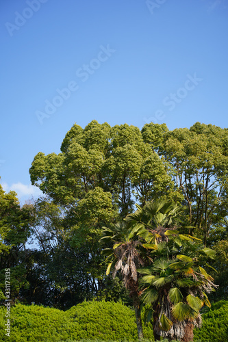 KYOTO BOTANICAL GARDEN