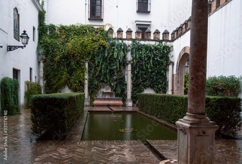 Inside garden in Seville, Spain © Alejandra