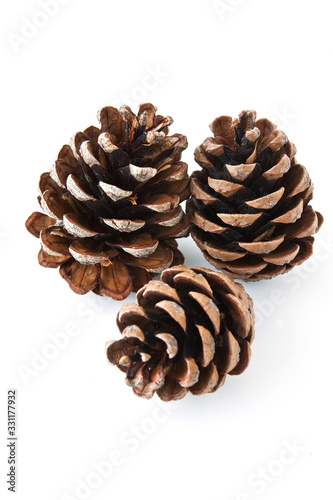 Pine cones