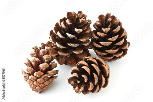 Pine cones