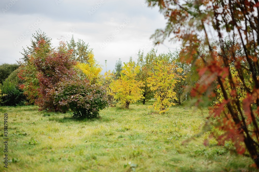  autumn landscape