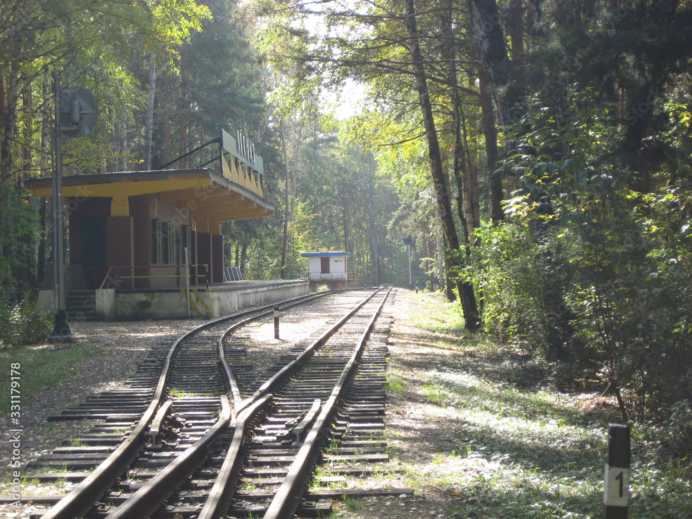 Forest railway