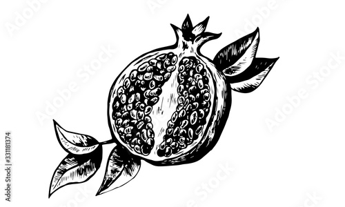 Hand drawing pomegranate vector illustration. Cut fruit and seeds. Branch and blossoms. Graphic style