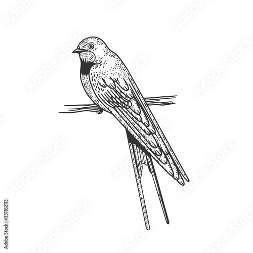 Common house martin swallow bird sketch engraving vector illustration. T-shirt apparel print design. Scratch board imitation. Black and white hand drawn image.