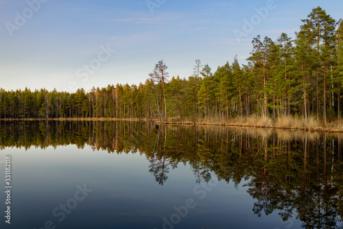 Beautiful calm lake with forest reflection during mid day sun.