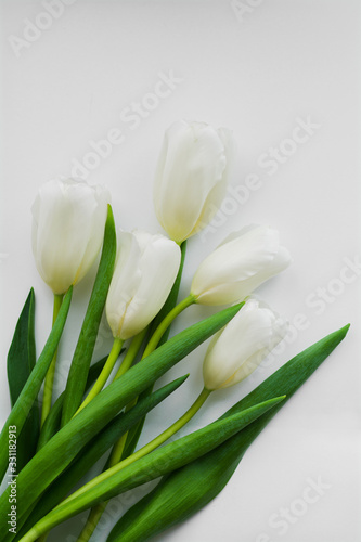 Five white tulips on a white background