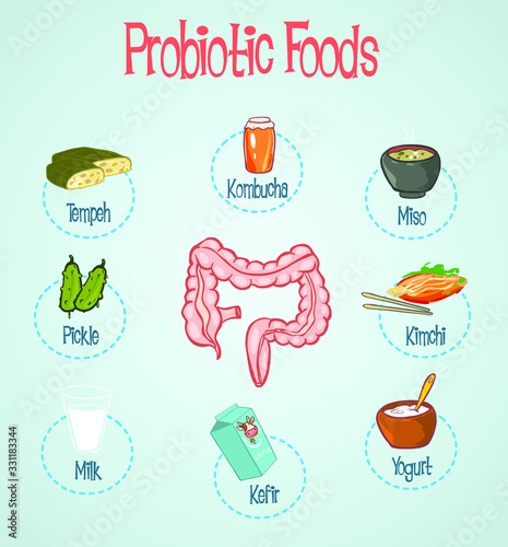Probiotic Foods Hand Drawn Vector Illustration.