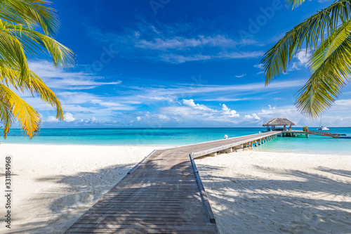 Tropical beach  Maldives. Jetty pathway into tranquil paradise island. Palm trees  white sand and blue sea  perfect summer vacation landscape or holiday banner. Beautiful tourism destination  Maldives