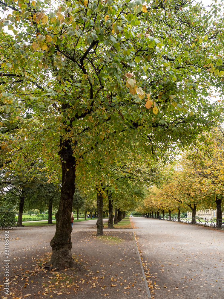 Naklejka premium Munich, Germanu - Oct 4th, 2019:The Hofgarten is a garden in the center of Munich, Germany, located between the Residenz and the Englischer Garten.