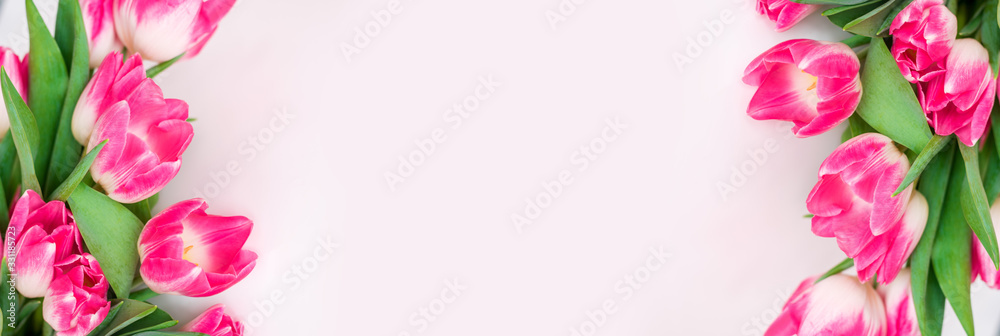 Flower spring banner. Card with pink tulips on a white background