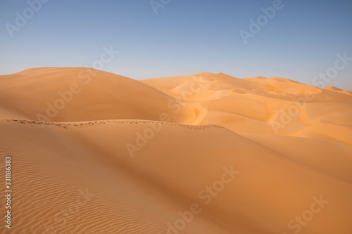 Abstract landscape with desert dunes on a sunny day. Liwa desert, Abu Dhabi, United Arab Emirates. © Kertu