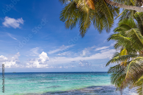 Tranquil beach with copy space. View of nice tropical beach with palms around. Holiday and vacation concept. Tropical beach.