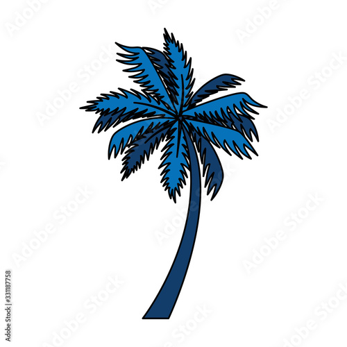 tree palm exotic isolated icon vector illustration design