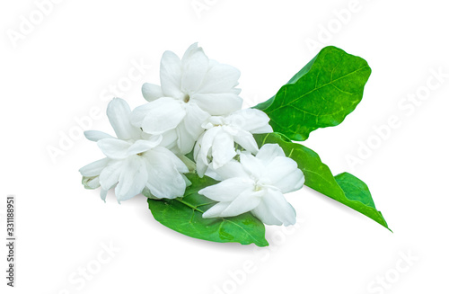 arabian jasmine, jasminum sambac, flower and leaves, jasmine tea flower isolated on white background © RATMANANT