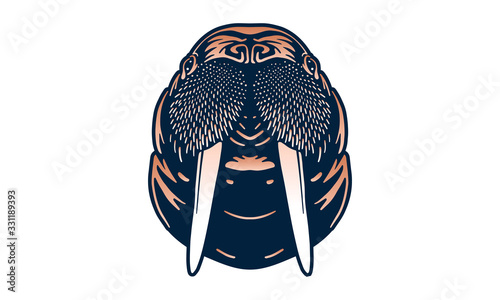 walrus isolated