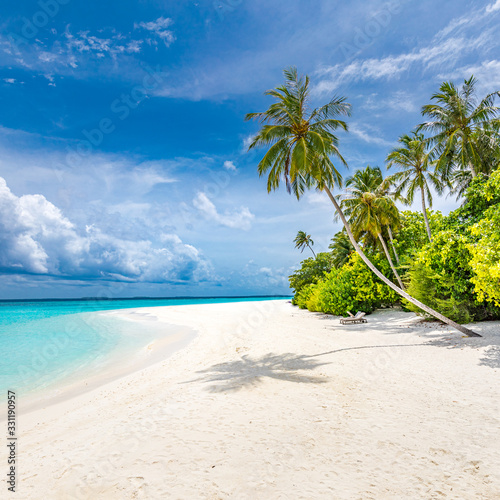 Fototapeta Naklejka Na Ścianę i Meble -  Luxury beach landscape, tropical nature pattern. Amazing palm trees over white sand with blue sky. Idyllic beach nature, inspirational view for summer vacation or holiday concept