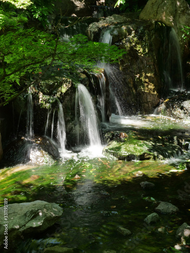 Fototapeta Naklejka Na Ścianę i Meble -  Some small waterfalls in the forest