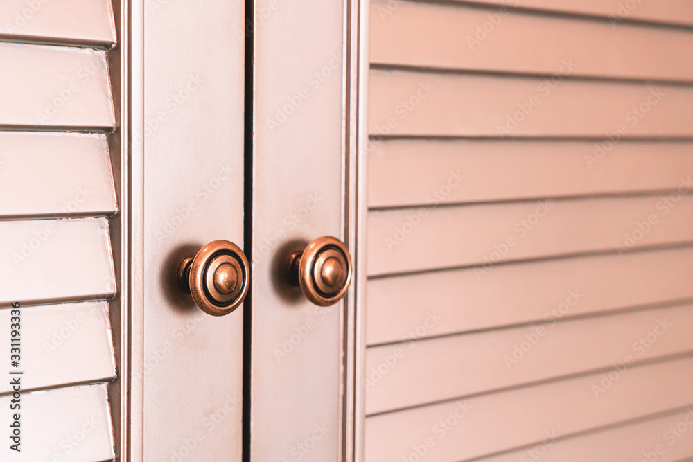 Fototapeta premium wood closet or wardrobe surface and texture