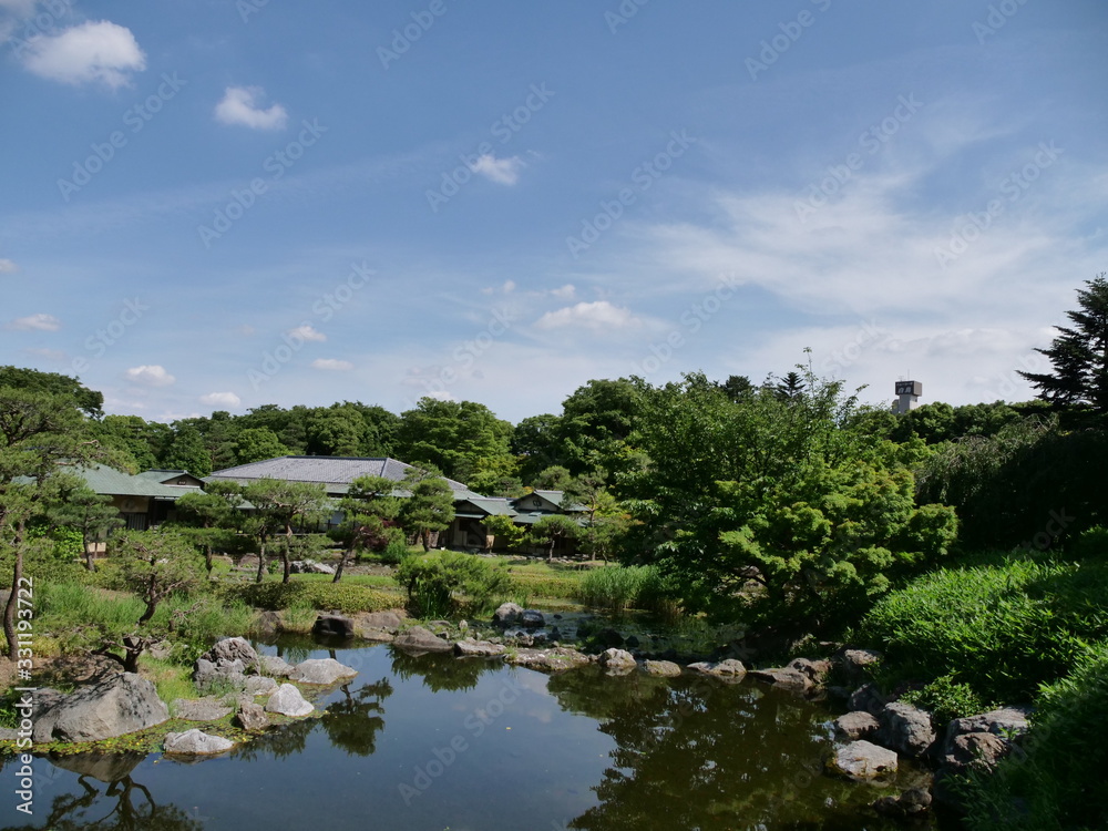 Landscape of green park with ponds and trees overgrown
