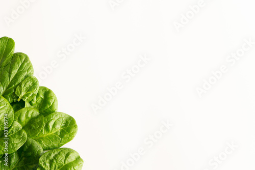 Fresh green spinach isolated on white on left bottom corner. Top view. Banner. Heading design. Copy space. Healthy, natural, diet, vegan, vegetarian food concept. 