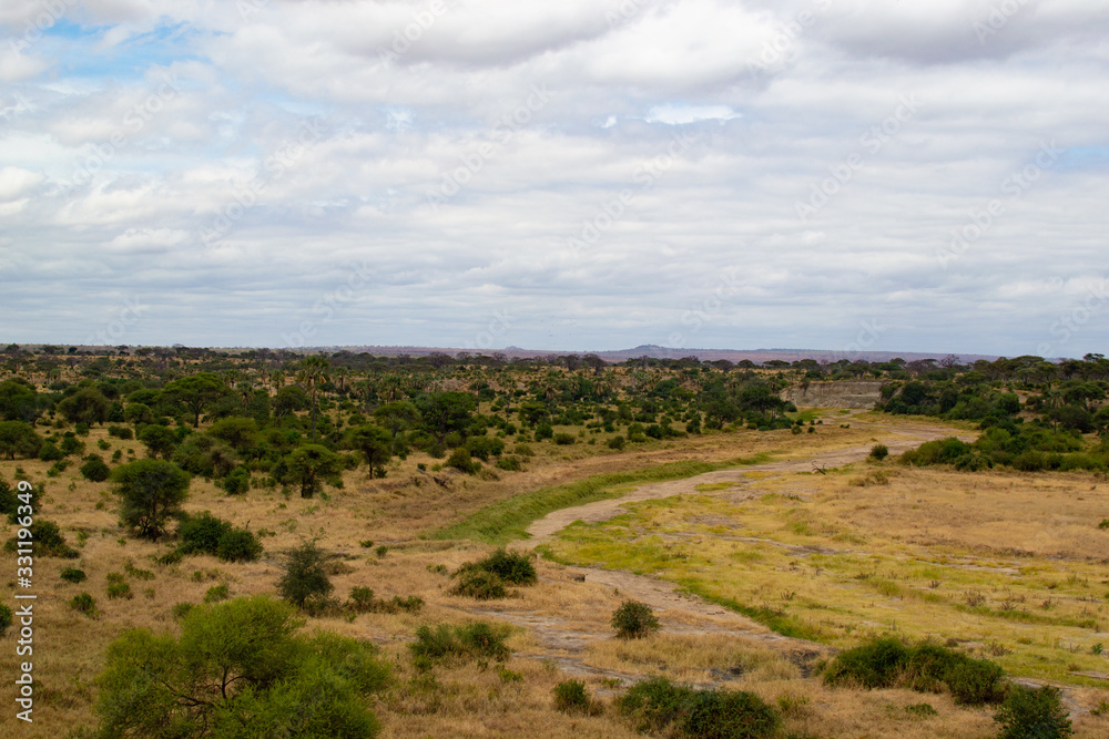 View of a dry river in the middle of the savannah of Tarangire National Park (Tanzania)