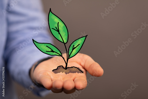green plant growing up digital