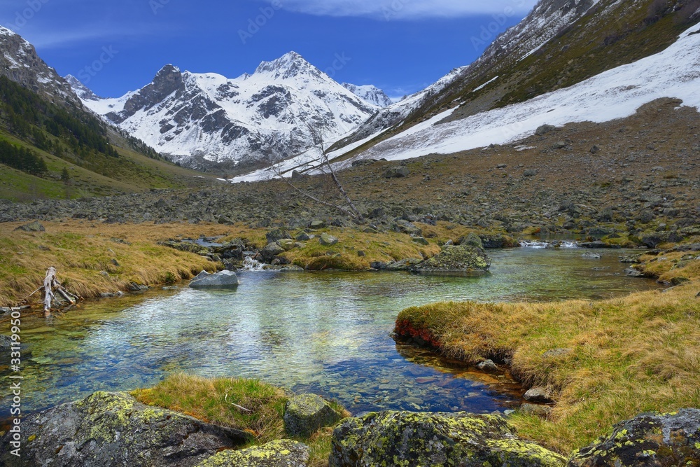 Fototapeta premium Brook