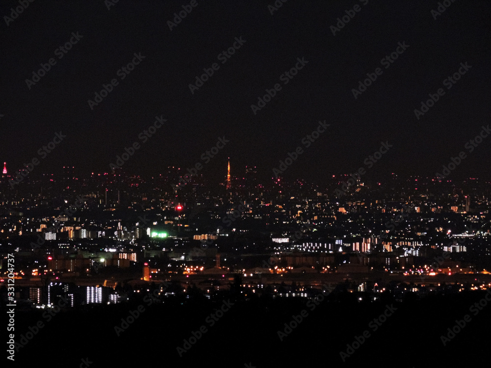 Tokyo night view from far mountain