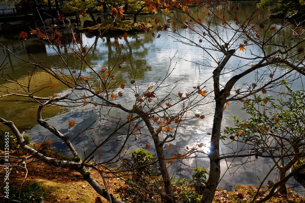 Red Fall foliage leaf colours near the pond with tree reflection in water. Landscape of beautiful garden before sunset. Red Fall foliage leaf colours near the pond with tree reflection in water. Landscape of beautiful garden before sunset.