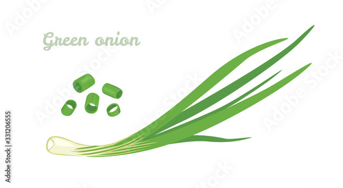 Green spring onions isolated on white background. Vector Chopped chives. Illustration of fresh cut green onion. Icon in cartoon flat style.
