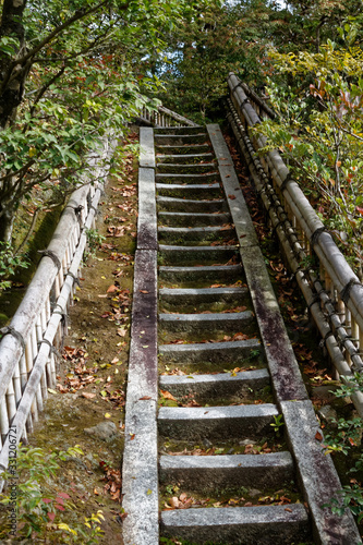 Japan zen path in a garden  park in autumn season and maple tree