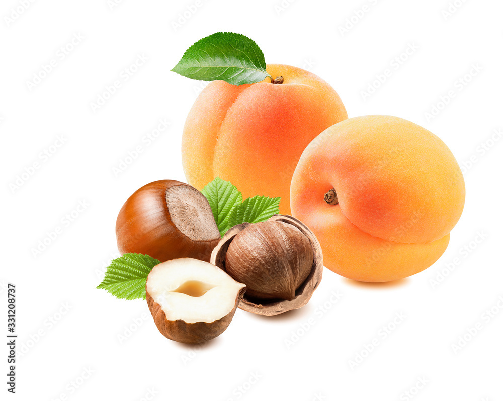Whole apricots and hazelnuts isolated on white background
