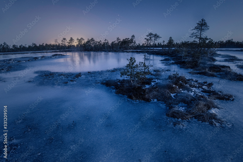 Frozen bog with stars and blue morning light on the horizon
