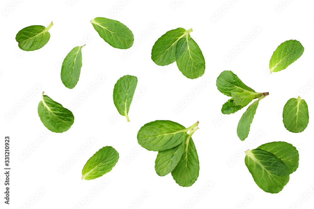 Fresh mint leaves isolated on white background. top view