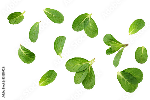 Fresh mint leaves isolated on white background. top view