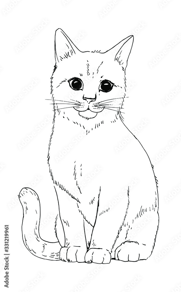 Drawing of cat - hand sketch of animal, black and white illustration