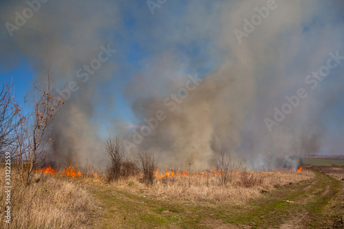 Dry grass fire in the steppe. Burning dry grass in the spring. © Sergii