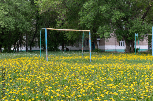 Football goal in the field of dandelions photo