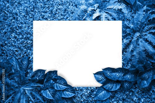 Classic blue color backgrou...