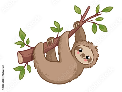 Cute sloth creeps on a tree. Vector illustration with animal