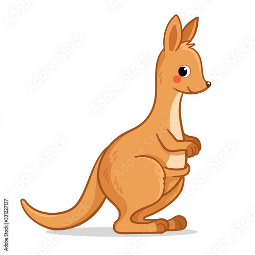 Cute kangaroo stands on a white background. Vector illustration with australian animal