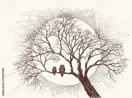 Owls family in a tree over full moon background