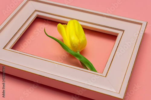 Beautiful tulip flowerin pink photo frame, pink background. Spring and Easter Frame Concept photo