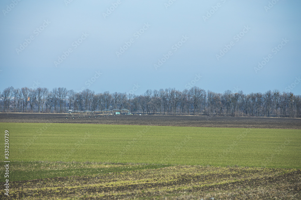 Early spring landscape with agricultural Sprinkler on winter wheat field. Sunny day, concept of natural agriculture.