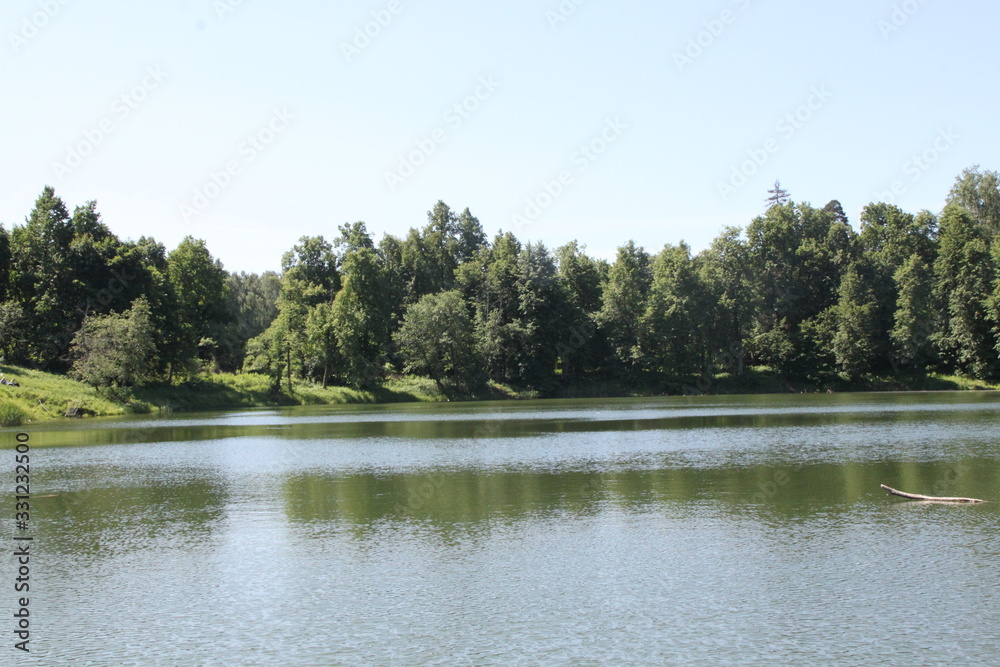 lake in forest