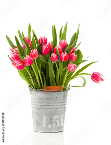 red tulips in a bucket, on a white background
