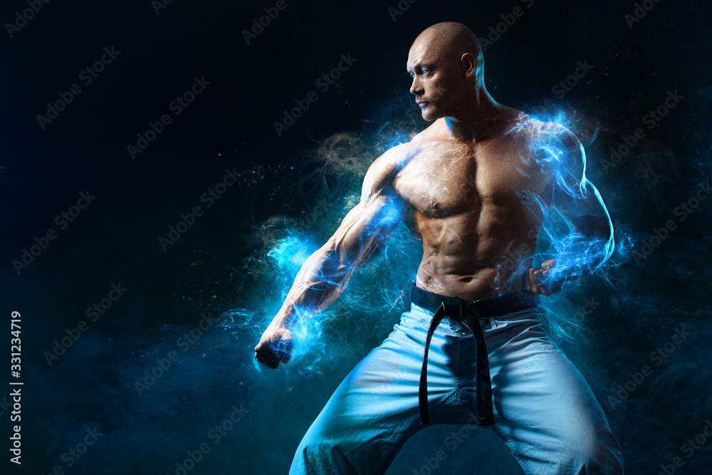 Taekwondo Fighter