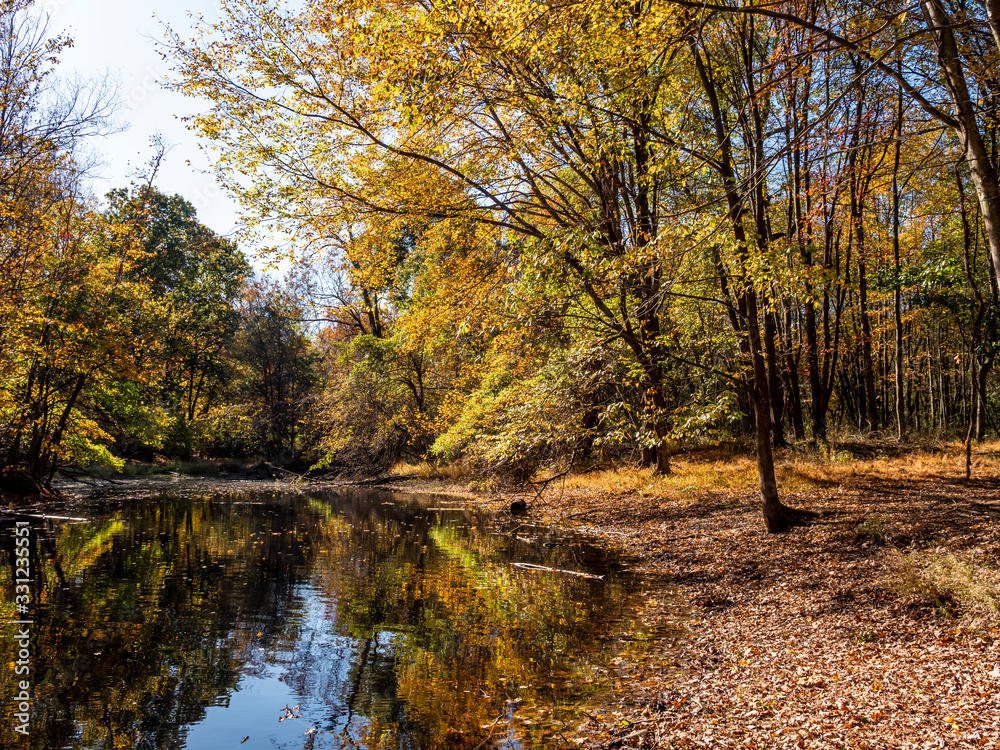 Pond in Pascack Brook County Park